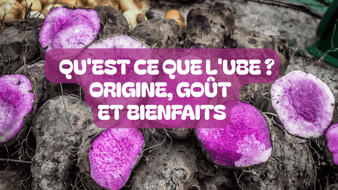 Qu'est ce que l'ube ? Origine, goût et bienfaits - Ube Mama